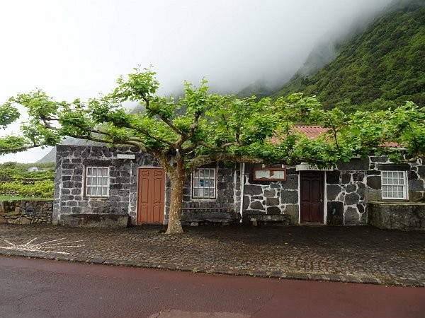 House with tree at Fajã dos Cubres (São Jorge island)